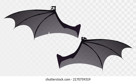 Isolated vector dragon or bat wings