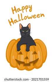 Isolated vector element. A black cat and a pumpkin. Happy Halloween. The print is used for packaging design, fabric. All Hallows' Eve.