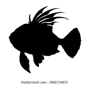 isolated vector element of John Dory from a black silhouette side view with spread fins and tail. a hand-drawn sketch in the style of John Dorey's sea fish for a design template