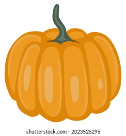 Isolated vector element. A pumpkin. The print is used for packaging design, fabric. Autumn. Harvesting.