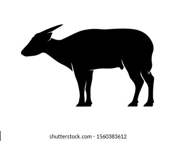 Isolated Vector Endemic Animal of Sulawesi. Anoa Silhouette on White Background
