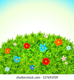 Isolated vector field with flowers