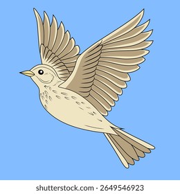 Isolated vector figure of a skylark flying in the sky