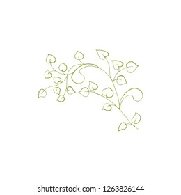 Isolated Vector Floral Branch Element for Coloring Book Pages. Antistress Flower with Leaves and Petals for your Craft Design