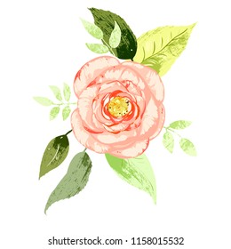 Isolated vector fresh wild rose with leaves on white background. Soft peach and light green color.