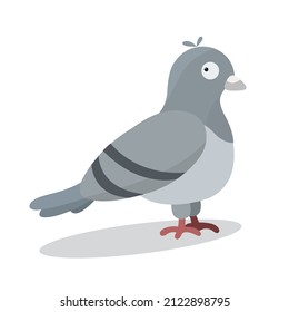 Isolated vector funny colored urban pigeon without a contour on a white background for postcards, web design, stickers, posters.