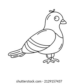 Isolated vector funny line pigeon. Good for web and mobile design, coloring book.