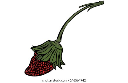 Isolated vector hand drawn illustration sketch of a wild ripened red forest strawberry with green leaves and stem.  