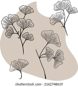 Isolated vector hand drawn illustration of ginkgo biloba herbal plant leaves