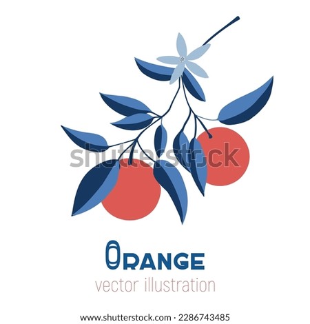 Isolated vector hand drawn orange branch. Fruit print. Sketch Exotic tropical juicy fruit, orange with leaves and flowers. Vector cartoon pop art style illustration. Doodle  citrus retro pattern