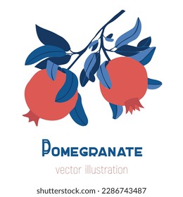 Isolated vector hand drawn pomegranate branch. Fruit print. Sketch Exotic tropical juicy fruit, pomegranate with leaves and flowers. Vector cartoon pop art style illustration. Doodle  retro pattern