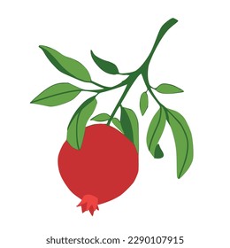Ilustración de bifurcación aislada de vectores dibujada a mano. Impresión de fruta. Esbozo Fruto jugoso tropical exótico, granada con hojas y flores. Dibujo vectorial de estilo simple. Icono de Doodle