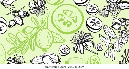 Isolated vector hand drawn set of summer tropical fruits for health, feijoa. Sketch. Feijoa fresh fruits, flowers, slices and leaves. Exotic fruits on a white background. Collection.