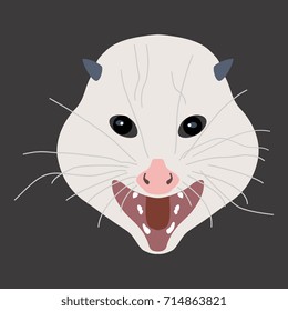 Isolated vector head of an opossum. Cartoon style.