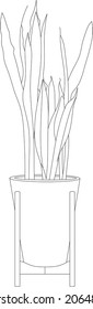 Isolated vector house plant.
Hand drawn serpent plant sketch.