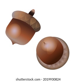 Icono vectorial aislado de bellotas sobre fondo blanco