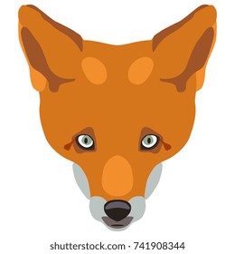 Isolated vector icon of fox's face. Flat cartoon style.