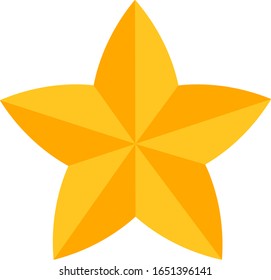 Isolated vector icon of yellow star in the night.