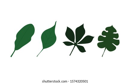 Isolated vector icons set on white background. Green leaves, various shapes, elements for eco and bio logos