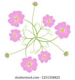 Isolated vector illustration. Abstract floral decor. Bouquet of stylized cosmos flowers. Flat cartoon style. 