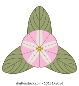 Isolated vector illustration. Abstract floral decor with stylized flower and leaves of bindweed or morning glory plant.