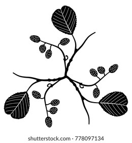 Isolated vector illustration. Abstract floral element made of three boughs of alder tree. Black silhouette on white background.