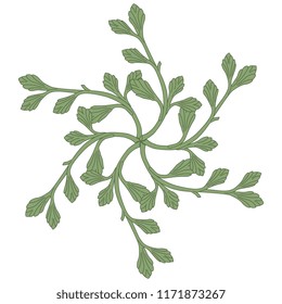 Isolated vector illustration. Abstract round floral decor with stylized branches and leaves. 