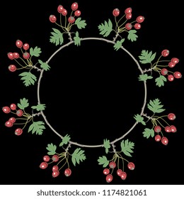 Isolated vector illustration. Abstract round floral decor or frame with branches of hawthorn berries. On black background.