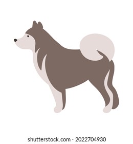 Ilustración vectorial aislada de un perro malamute alaskiano