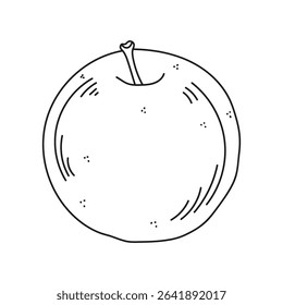 Isolated vector illustration of an apple on a white background. Organic healthy food. Hand drawn illustration in doodle style. Ideal for recipes, various designs. Vector art. Line art. Fruit