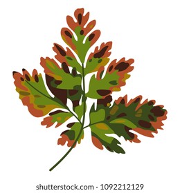 Isolated vector illustration of autumn leaf of hawthorn shrub. Flat cartoon style.