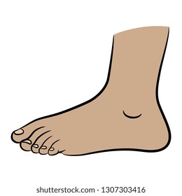 Illustration Cartoon Foot Side View Raster Stock Illustration 108123077