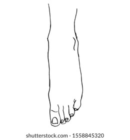Isolated vector illustration. Bare slender female foot. Top view. Black and white linear silhouette. Hand drawn doodle sketch.