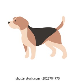 Isolated vector illustration of a Beagle dog