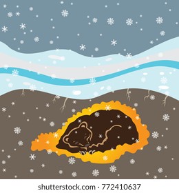 Isolated vector illustration. Bear sleeping in a den under snowflakes. Cute wildlife winter motif.
