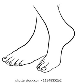 Isolated vector illustration. Beautiful bare female feet. Hand drawn linear sketch. Black silhouette on white background.
