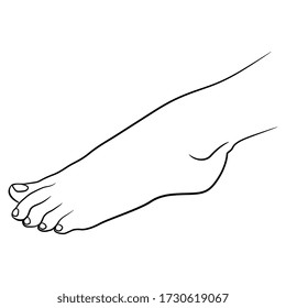 Ilustración vectorial aislada. Hermoso pie femenino desnudo. Silueta lineal blanca y negra.