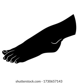 Ilustración vectorial aislada. Hermoso pie femenino desnudo. Silueta blanca y negra.