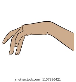Isolated vector illustration. beautiful female hand in elegant gesture. Hand drawn linear sketch. Cartoon style.