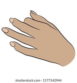 Isolated vector illustration. Beautiful female hand in elegant gesture. Hand drawn linear sketch. Cartoon style.