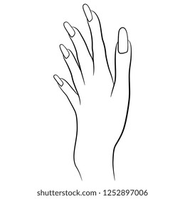 Isolated vector illustration. Beautiful female hand with long nails. Hand drawn linear sketch. Black silhouette on white background.