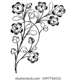 Isolated vector illustration. beautiful floral decor. Branch with leaves and flowers. Folk style. Decorative corner element. Black and white silhouette. Hand drawn sketch.