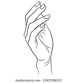 Isolated vector illustration. Beautiful human female hand in elegant gesture. Hand drawn linear sketch. Black silhouette on white background.