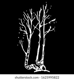 Isolated vector illustration. Birch tree. Hand drawn linear doodle ink sketch. White silhouette on black background.