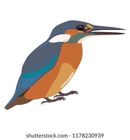 Isolated vector illustration of a bird. Common or Eurasian Kingfisher. (Alcedo atthis). Flat cartoon style.