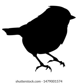 Isolated vector illustration of a bird. Eurasian blue tit. (Cyanistes caeruleus). Black silhouette on white background.