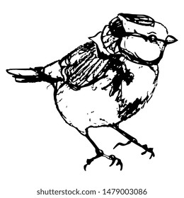 Isolated vector illustration of a bird. Eurasian blue tit. (Cyanistes caeruleus). Hand drawn linear doodle sketch. Black silhouette on white background.