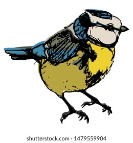 Isolated vector illustration of a bird. Eurasian blue tit. (Cyanistes caeruleus). Hand drawn colored sketch.