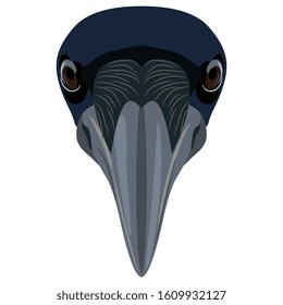 Isolated vector illustration  Bird mask  Head raven peacock  Flat cartoon style 