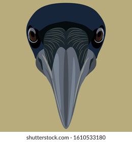 Isolated vector illustration  Bird mask  Head raven peacock  Flat cartoon style 